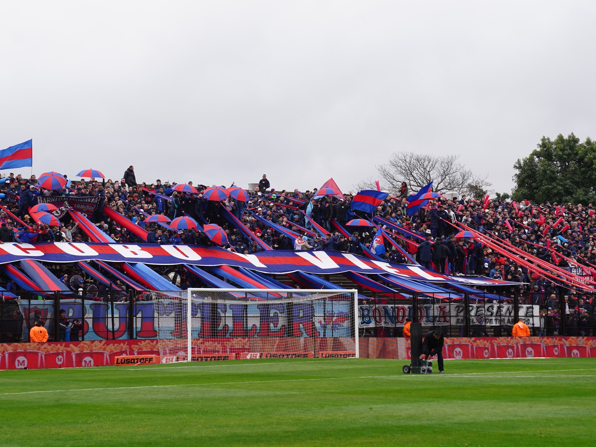 Habrá hinchas de San Lorenzo ante Platense